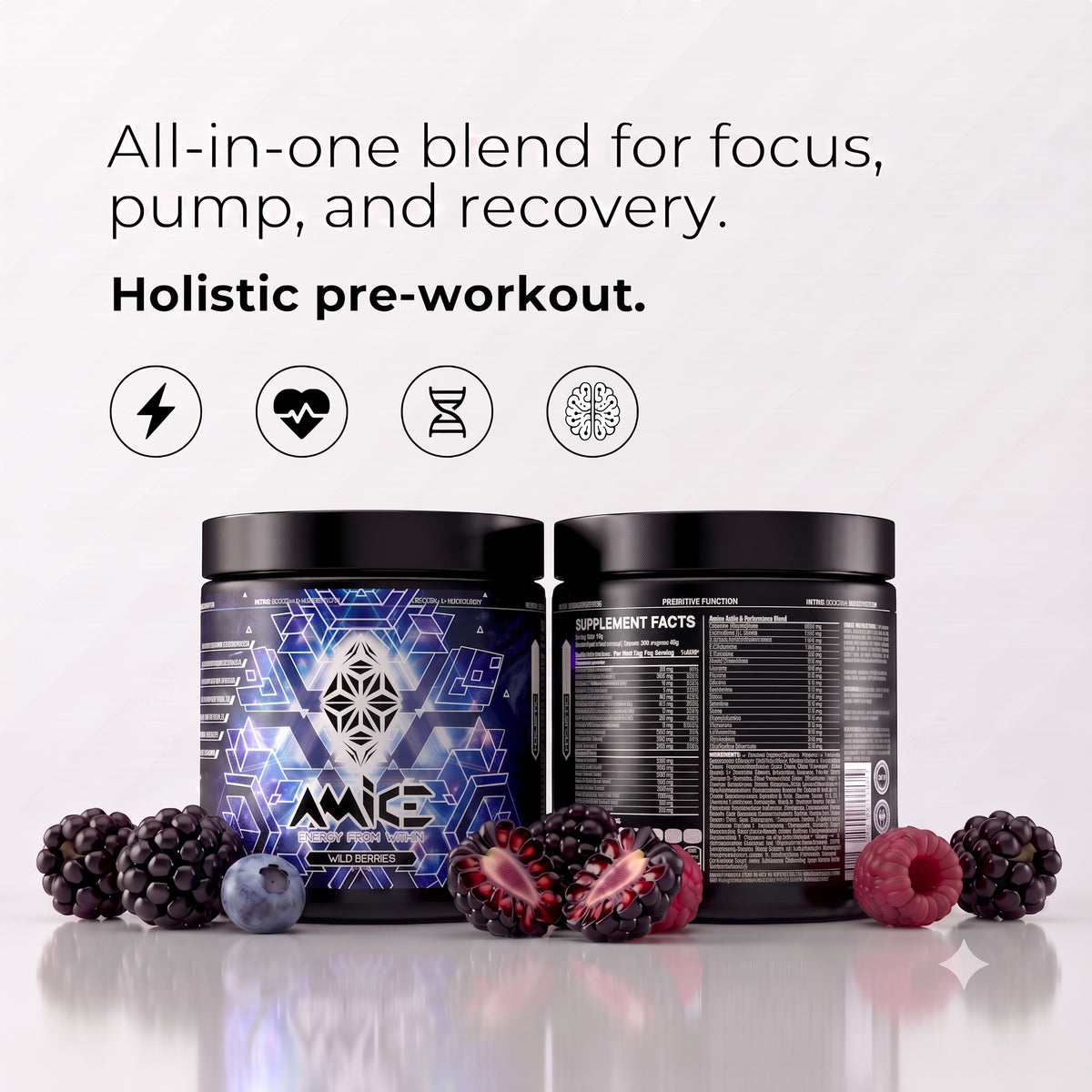 Holistic Pre- Workout